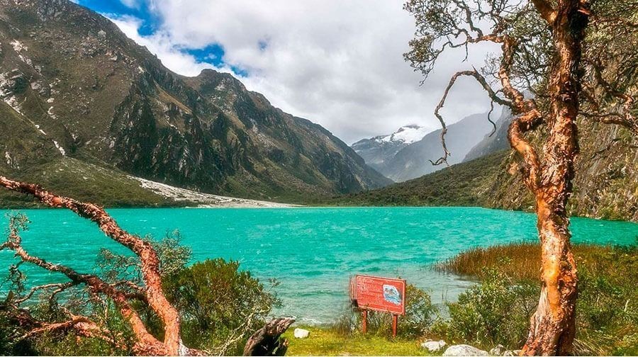 laguna